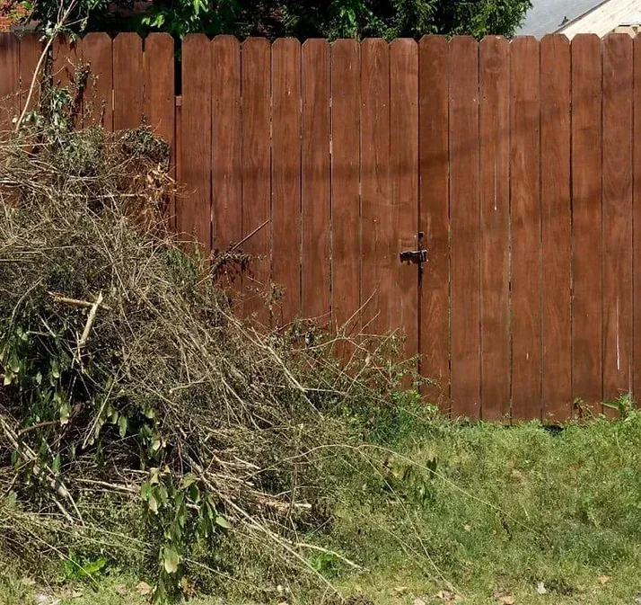 f5400a a21017d1474943a2aee4ad3f8fd5dac0 mv2 e63b9754 1920w